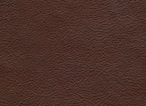 forestgreen